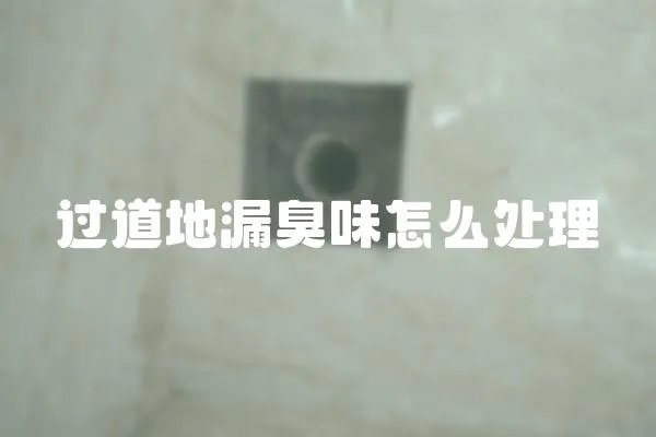 過道地漏臭味怎么處理