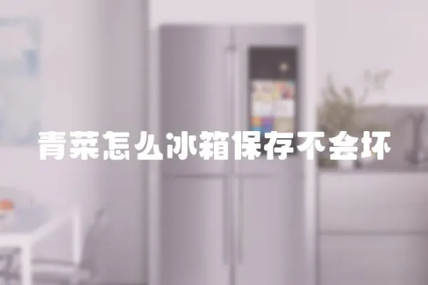 青菜怎么冰箱保存不會壞