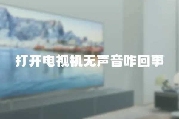打開電視機無聲音咋回事