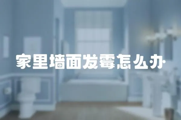 家里墻面發(fā)霉怎么辦