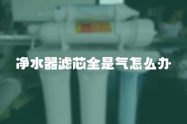 凈水器濾芯全是氣怎么辦