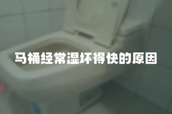 馬桶經常濕壞得快的原因