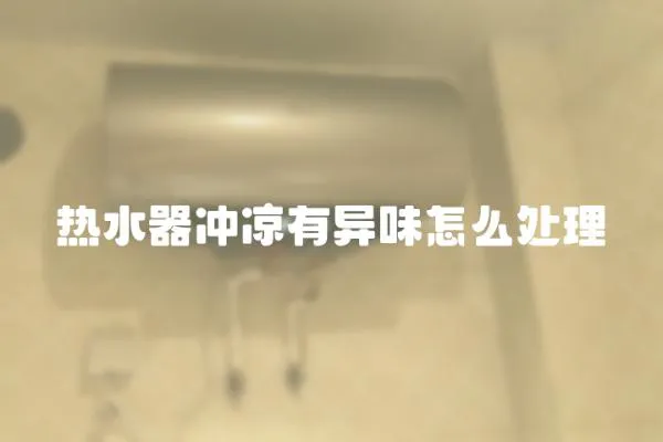 熱水器沖涼有異味怎么處理