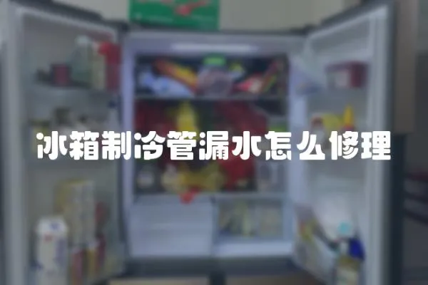 冰箱制冷管漏水怎么修理