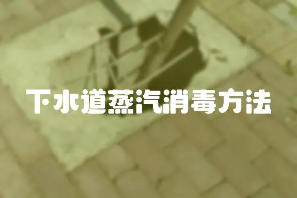下水道蒸汽消毒方法