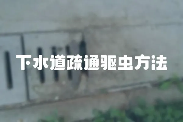 下水道疏通驅蟲方法