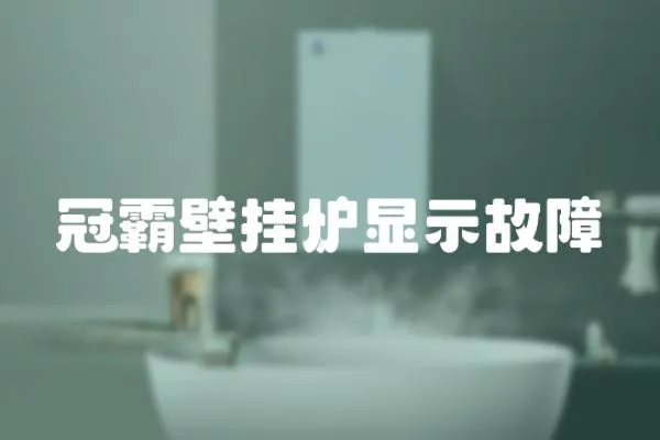 冠霸壁掛爐顯示故障