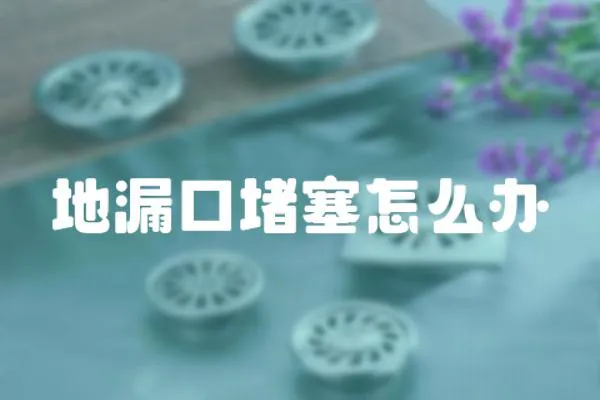 地漏口堵塞怎么辦