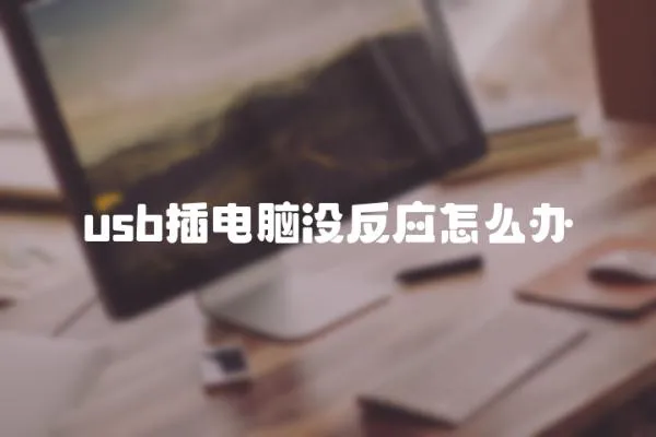 usb插電腦沒(méi)反應(yīng)怎么辦