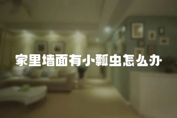 家里墻面有小瓢蟲怎么辦