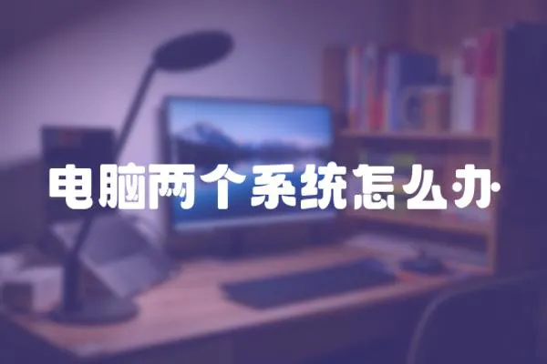 電腦兩個系統(tǒng)怎么辦