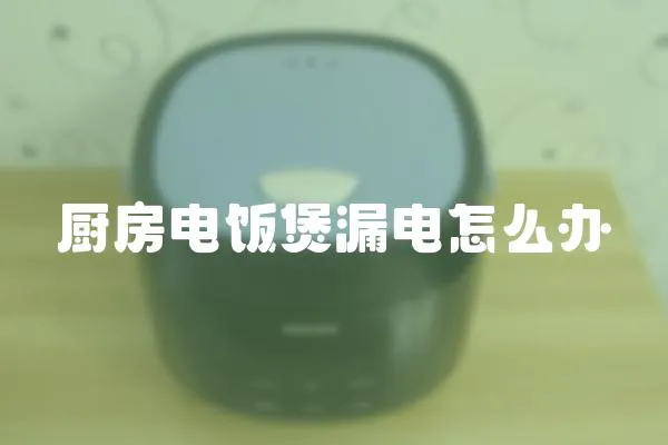 廚房電飯煲漏電怎么辦