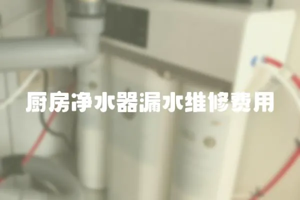 廚房凈水器漏水維修費用