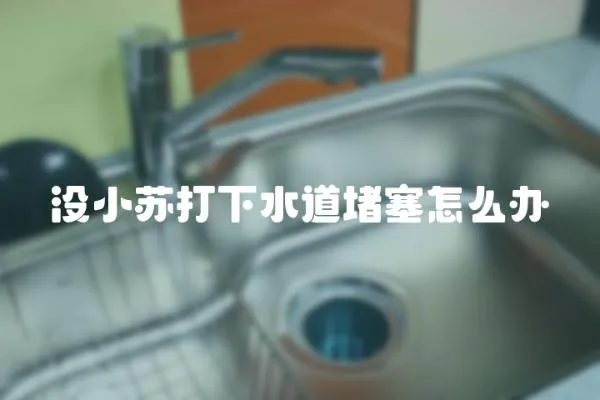 沒小蘇打下水道堵塞怎么辦