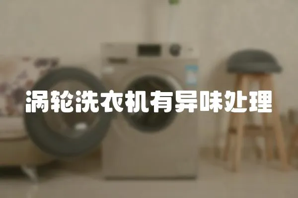 渦輪洗衣機有異味處理