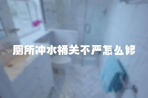 廁所沖水桶關不嚴怎么修