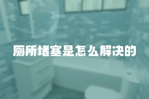 廁所堵塞是怎么解決的