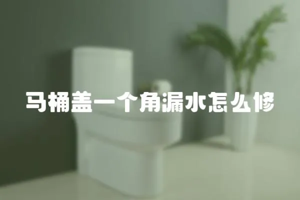 馬桶蓋一個角漏水怎么修