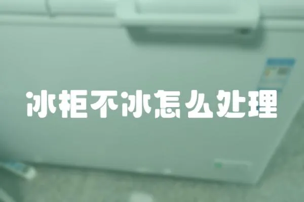 冰柜不冰怎么處理