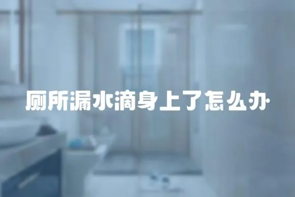 廁所漏水滴身上了怎么辦