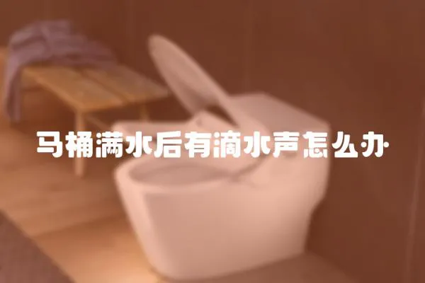 馬桶滿水后有滴水聲怎么辦