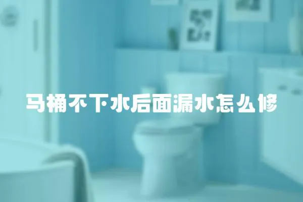 馬桶不下水后面漏水怎么修
