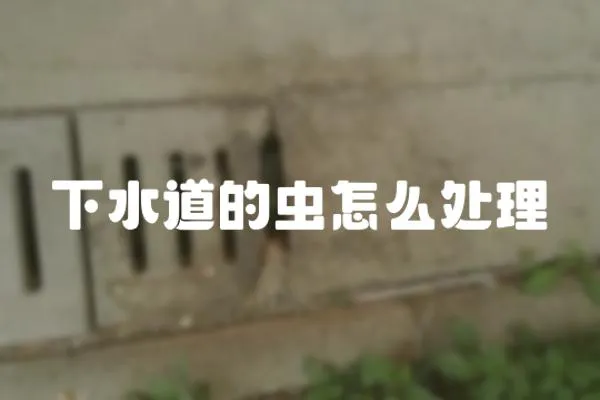 下水道的蟲怎么處理