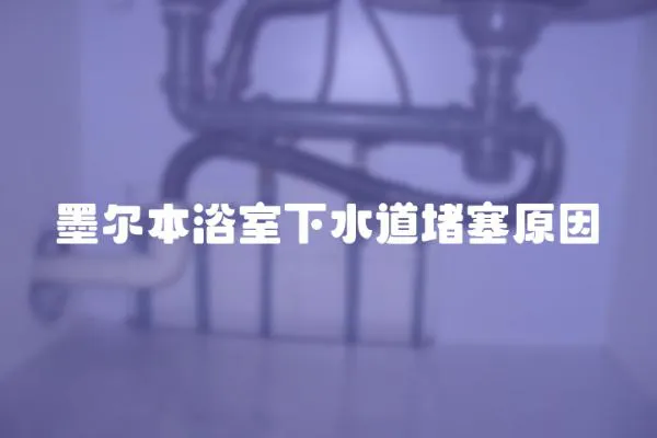 墨爾本浴室下水道堵塞原因