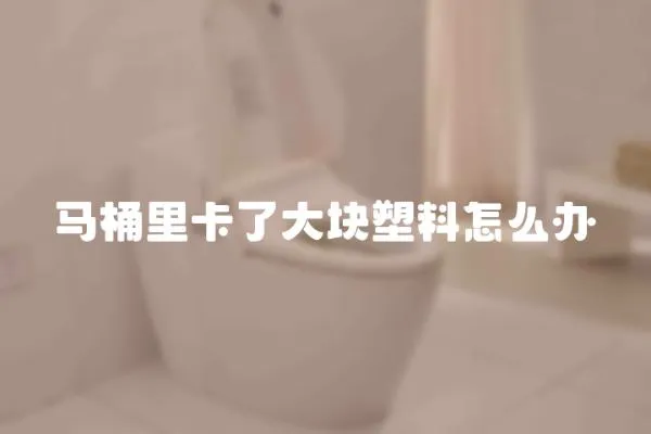 馬桶里卡了大塊塑料怎么辦