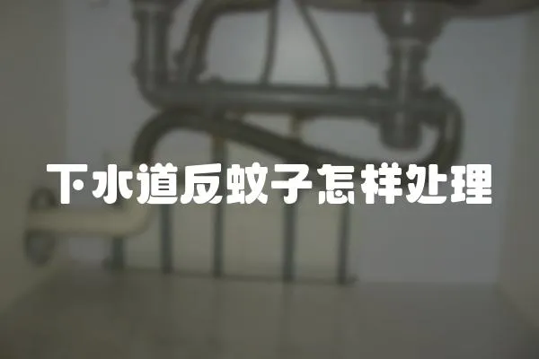 下水道反蚊子怎樣處理