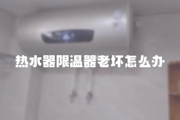 熱水器限溫器老壞怎么辦