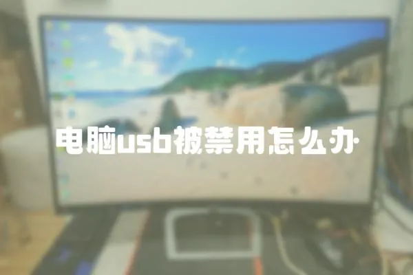 電腦usb被禁用怎么辦