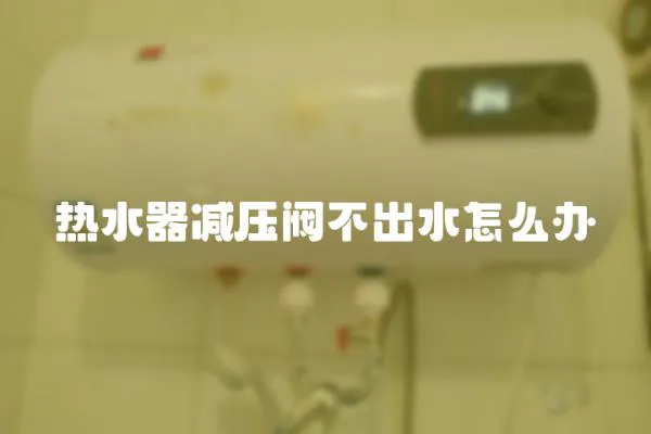 熱水器減壓閥不出水怎么辦