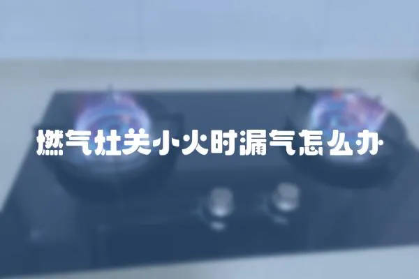 燃氣灶關小火時漏氣怎么辦