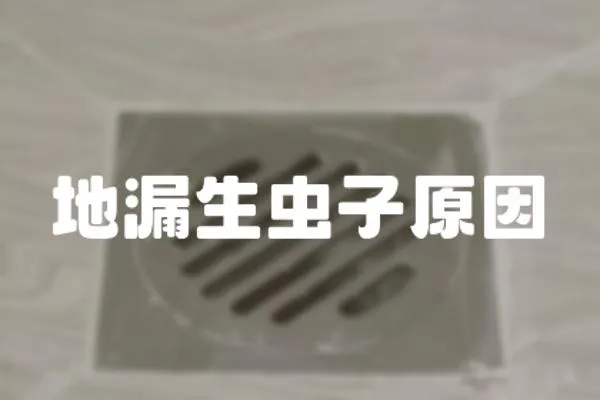地漏生蟲子原因