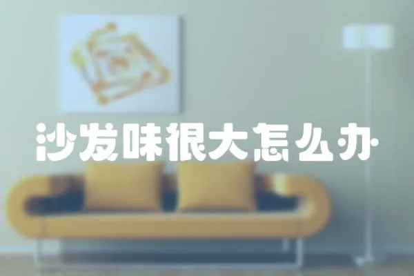 沙發味很大怎么辦