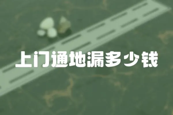 上門通地漏多少錢