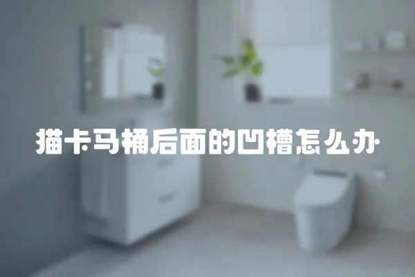 貓卡馬桶后面的凹槽怎么辦