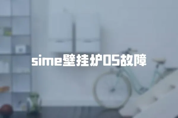 sime壁掛爐05故障
