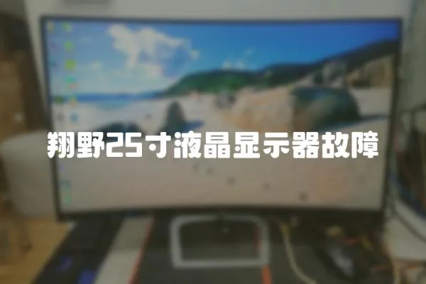 翔野25寸液晶顯示器故障