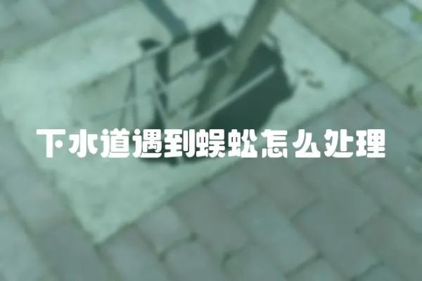 下水道遇到蜈蚣怎么處理