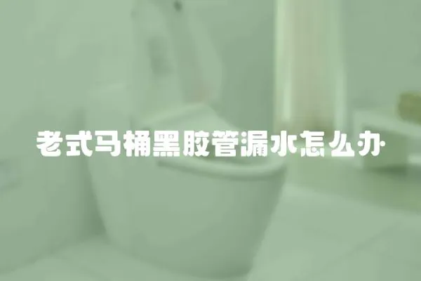 老式馬桶黑膠管漏水怎么辦