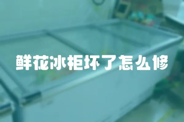 鮮花冰柜壞了怎么修