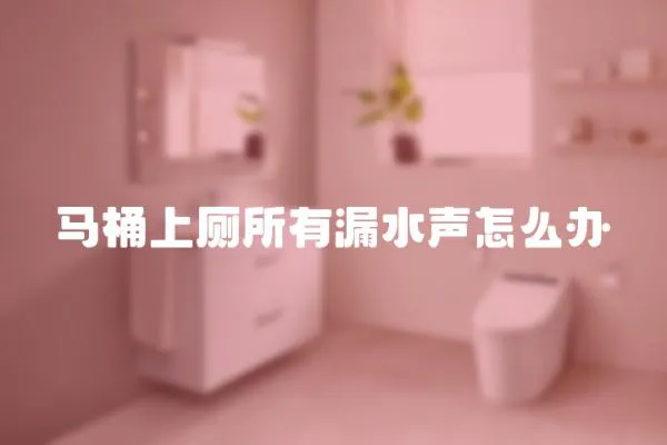 馬桶上廁所有漏水聲怎么辦