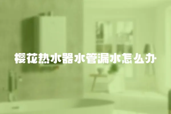 櫻花熱水器水管漏水怎么辦