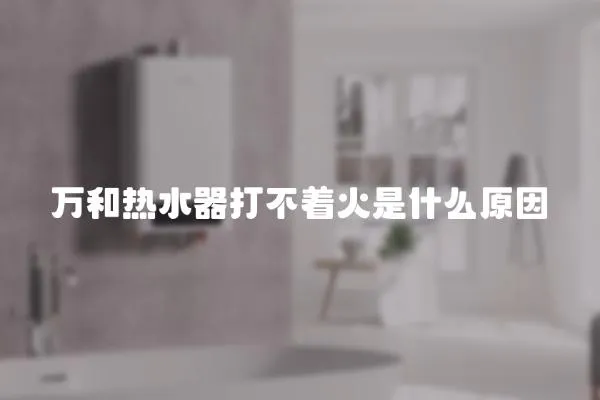 萬和熱水器打不著火是什么原因