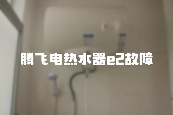 騰飛電熱水器e2故障
