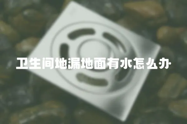 衛生間地漏地面有水怎么辦