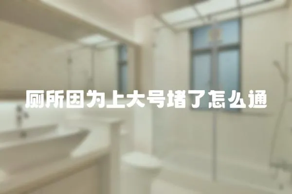 廁所因為上大號堵了怎么通