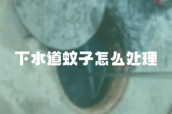 下水道蚊子怎么處理